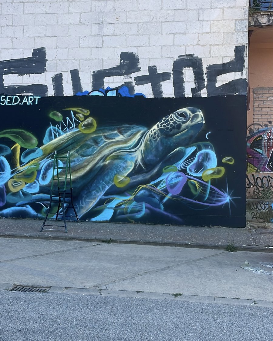 A turtle mural painted on a public wall