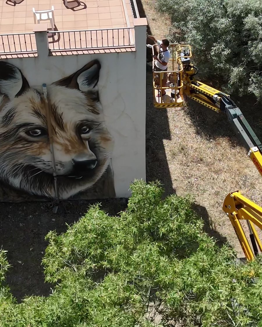 A fox mural painted on a house façade, photographed by drone